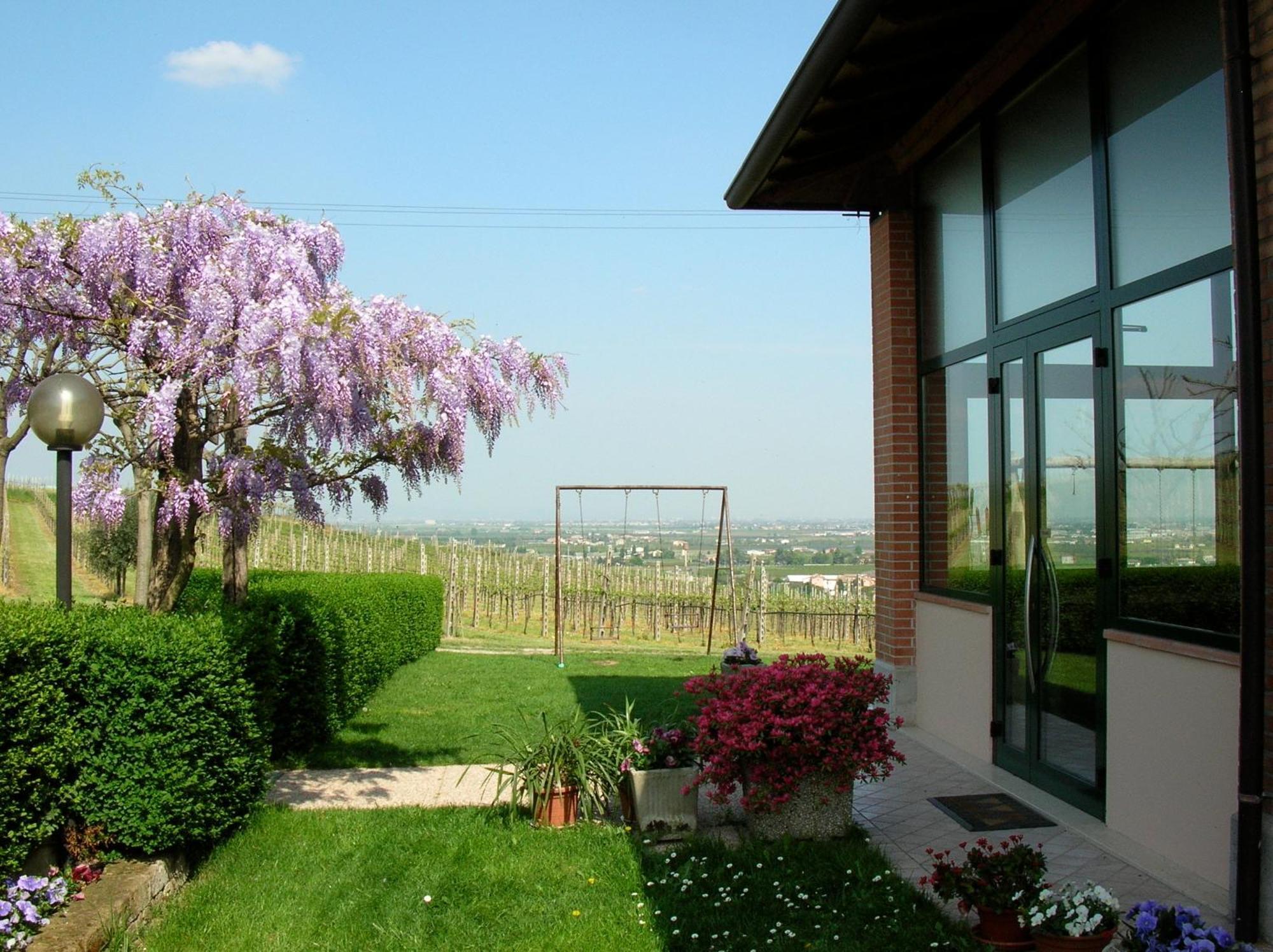 Le Bianchette Agriturismo E Fattoria Didattica Villa Sommacampagna Exterior photo